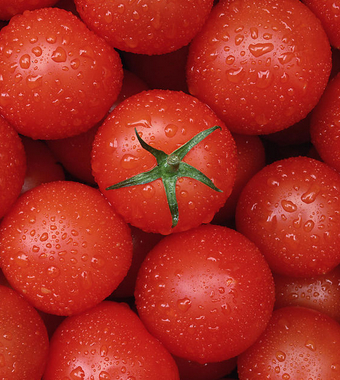 西紅柿的營養(yǎng)價(jià)值 對(duì)抗多種疾病的食療美食