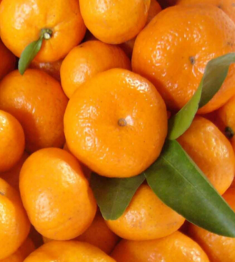 孕婦飲食注意事項(xiàng) 孕婦不能吃的水果大全