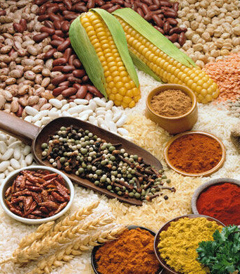 育兒知識(shí)大全 準(zhǔn)媽媽胎教應(yīng)做到 四勤