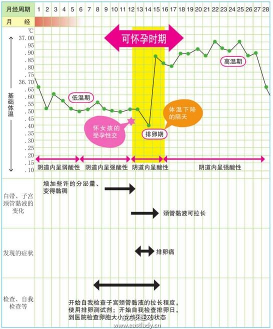 選擇生女孩的計(jì)劃表