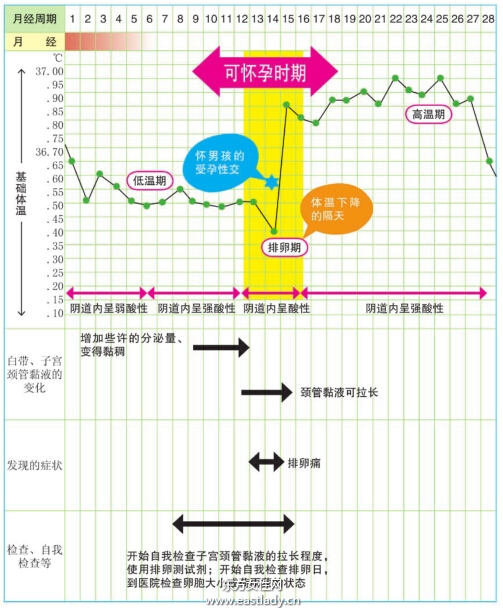 選擇生男孩的計(jì)劃表