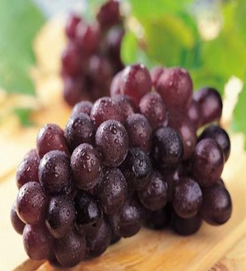 孕婦秋季吃什么水果好  吃梨清熱降壓