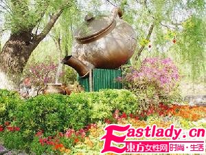 12款瘦身茶 你的肥胖好解決