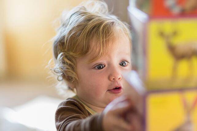 幫BB培養(yǎng)想象力 這些方法你嘗試過嗎