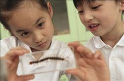 怎樣培養(yǎng)孩子的學(xué)習(xí)興趣 讓孩子主動學(xué)習(xí)