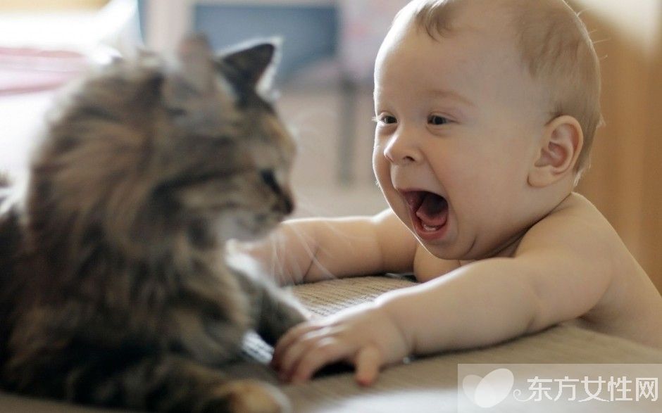 學(xué)齡前兒童教育的4大方法你知嗎 三大重點(diǎn)需掌握