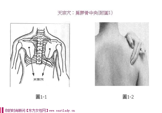 真人示范中醫(yī)經(jīng)絡(luò)按摩豐胸 有效提升罩杯