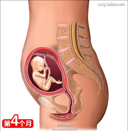 網(wǎng)上最全的懷孕育兒常識