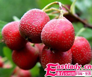 自制山渣減肥茶 開(kāi)胃瘦身