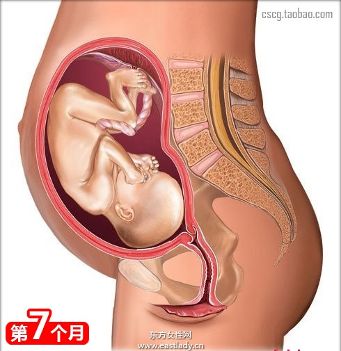 網(wǎng)上最全的懷孕育兒常識