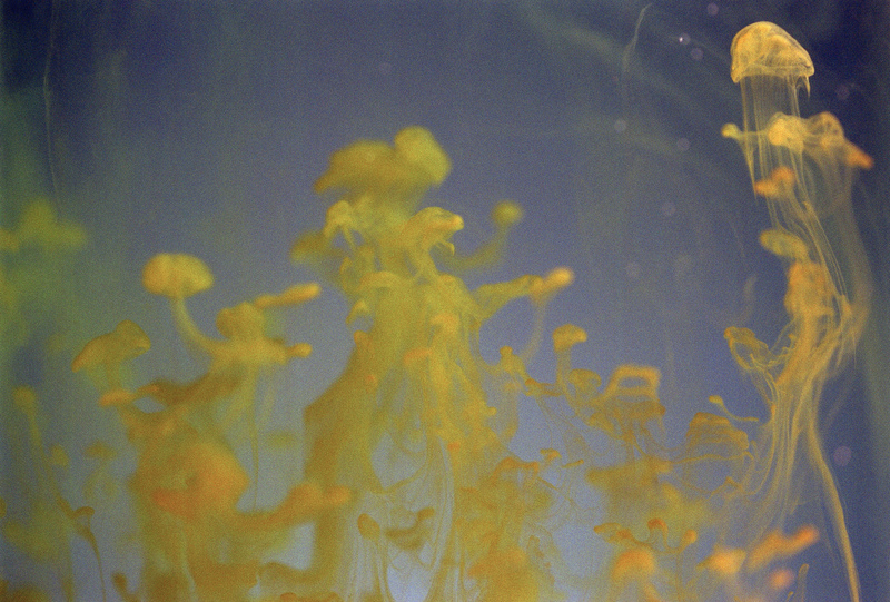 藥物流產(chǎn)后多久來(lái)月經(jīng) 揭藥物流產(chǎn)后注意事項(xiàng)