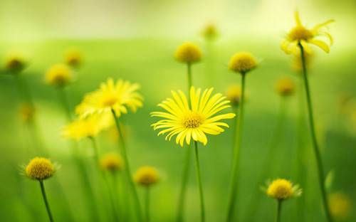 女人絕經(jīng)后 當心這6種疾病找上你