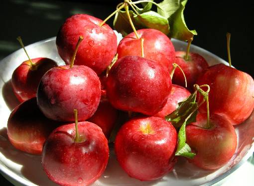 海棠果能在經(jīng)期食用嗎 多種功效吃出健康