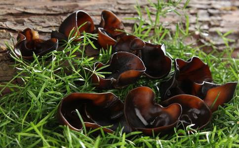 預(yù)防乳腺癌的食物 黑木耳既抗癌又防便秘