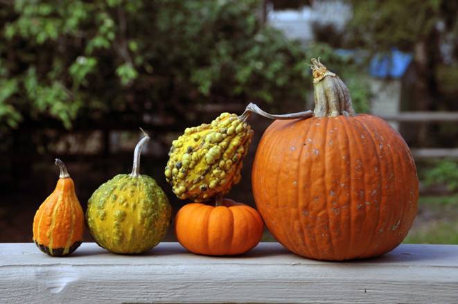 閉經(jīng)的食療有哪些 五大食療方讓你擺脫閉經(jīng)