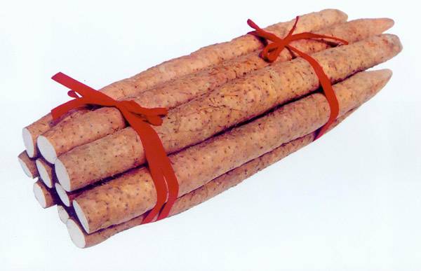 六個(gè)有效小偏方助你治療閉經(jīng)現(xiàn)象