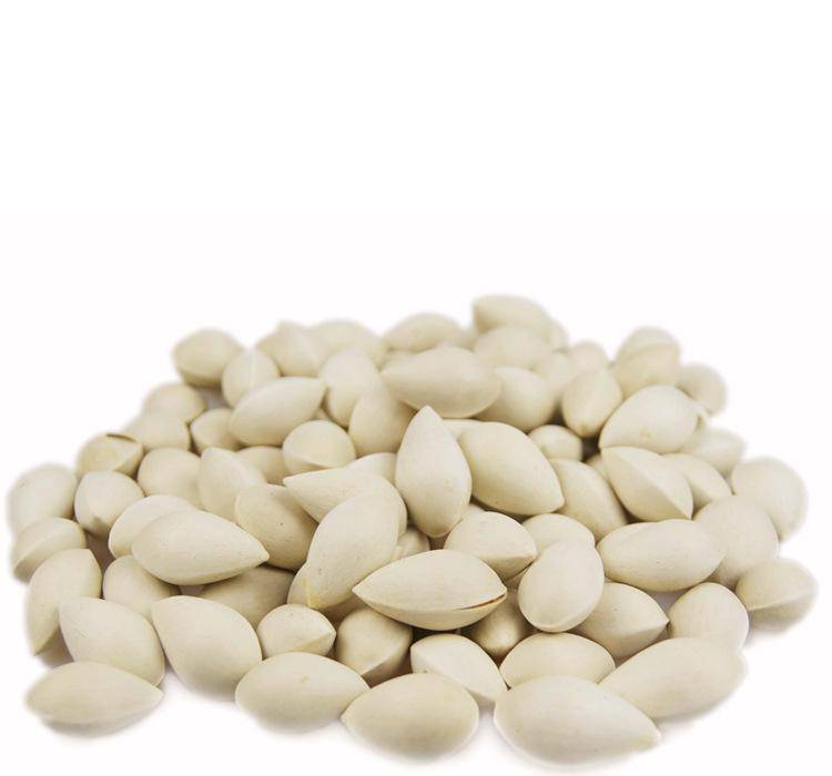 白果的好處多 也可治女性月經(jīng)不調(diào)