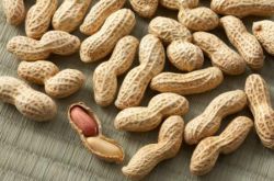 女性多吃花生能預(yù)防乳腺癌