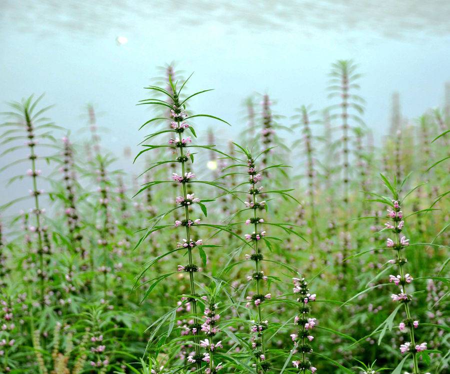 痛經(jīng)需分型治療 對(duì)癥下藥才是關(guān)鍵