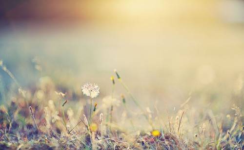 女人絕經(jīng)后 當心這6種疾病找上你