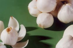 四大飲食療法助你預(yù)防乳腺炎