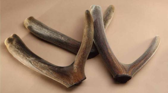 更年期吃什么好 8種食療方助你調(diào)理陽虛體質(zhì)