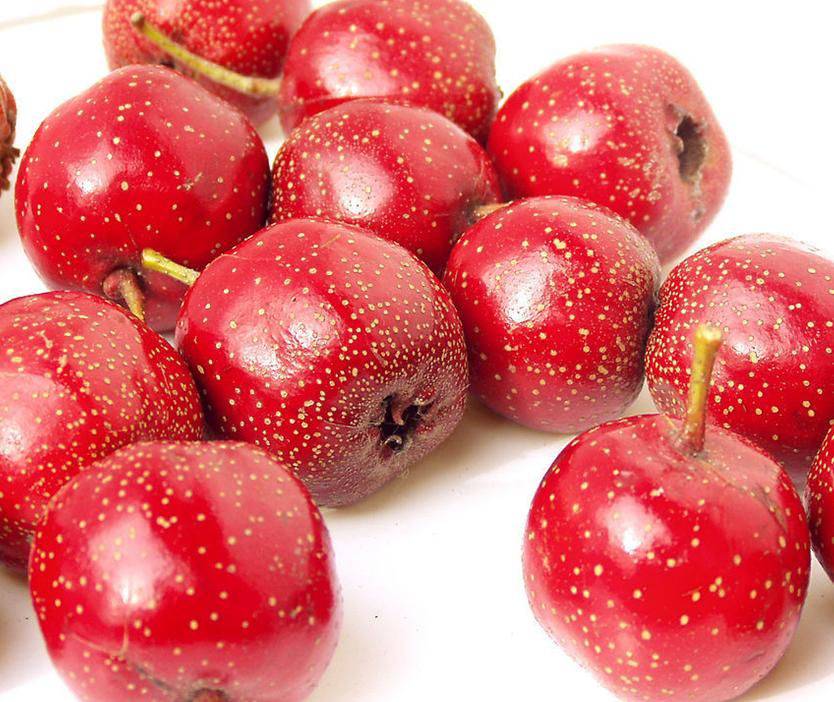 多吃這幾種東西能幫你調(diào)理卵巢囊腫