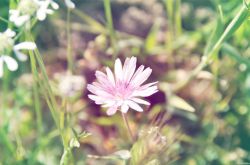 女人絕經(jīng)后 當心這6種疾病找上你