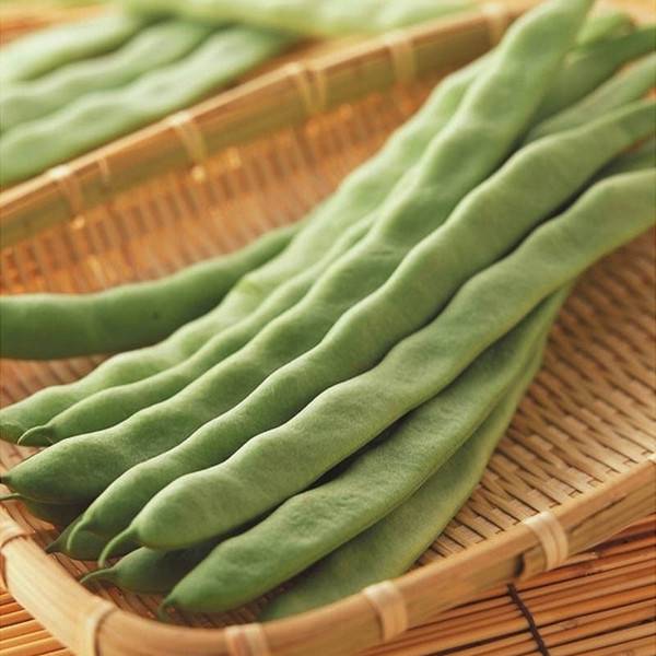 解決白帶的問題有哪些 膳食調(diào)理是關(guān)鍵