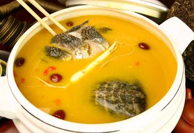 解析吃甲魚能預(yù)防乳腺癌嗎