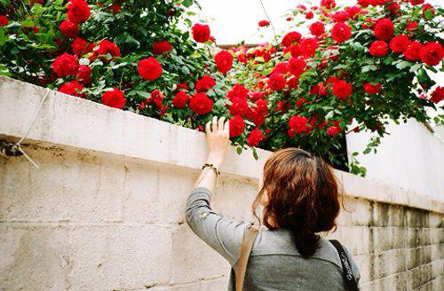 卵巢囊腫的危害有哪些 8大措施教你預(yù)防