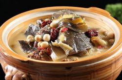 解析吃甲魚能預(yù)防乳腺癌嗎