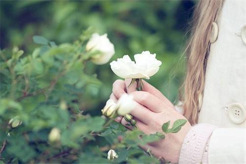 月經(jīng)不調(diào)有哪些癥狀 5種類型對(duì)癥下藥