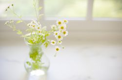 白帶多且發(fā)黃是怎么回事 這是疾病癥狀嗎