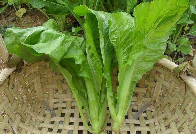 如何避免乳腺增生 從生活方式做起