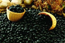 閉經(jīng)吃什么好 六款飲食療方治閉經(jīng)