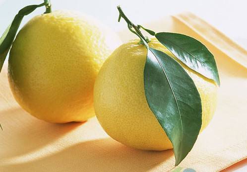 遭受 大姨媽 折磨 喝湯就能擺脫