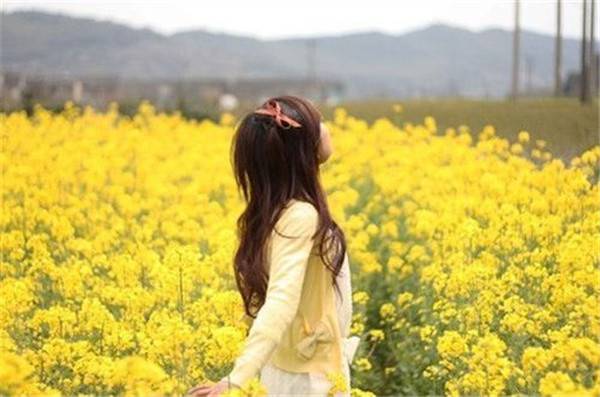 三種食物使更年期女性 順氣 不易燥