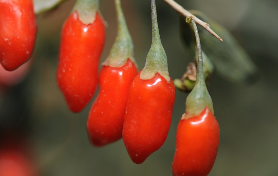 女性什么年齡閉經(jīng) 6種閉經(jīng)類型調(diào)理偏方