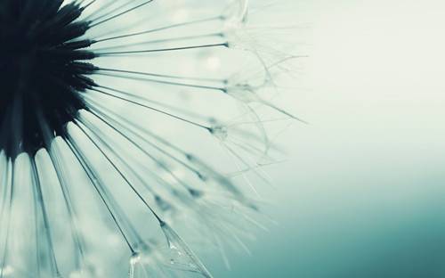 女人絕經(jīng)后 當心這6種疾病找上你