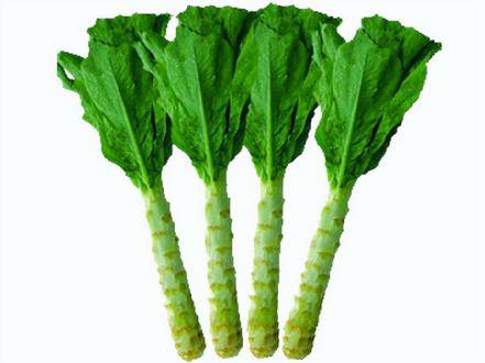 四大飲食療法助你預(yù)防乳腺炎