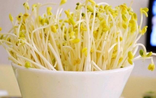 推薦附件炎患者的4款飲食療法