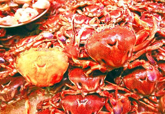 乳腺炎吃什么藥 這些偏方你一定要知道