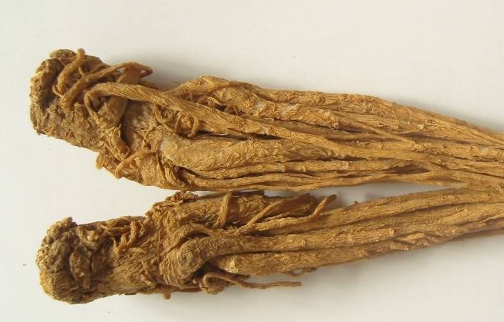 遭受 大姨媽 折磨 喝湯就能擺脫