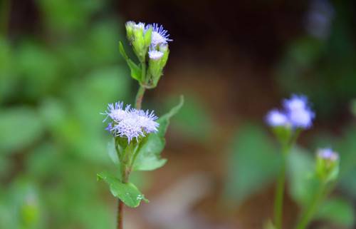 女人絕經(jīng)后 當心這6種疾病找上你