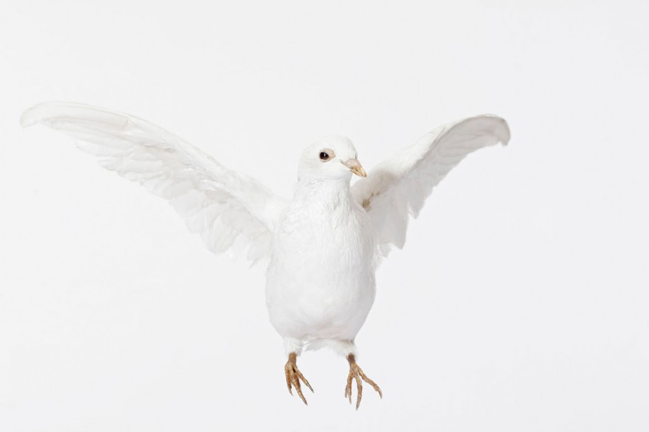 六個(gè)有效小偏方助你治療閉經(jīng)現(xiàn)象