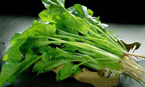 功能性子宮出血怎么調(diào)理 四大食譜幫你忙