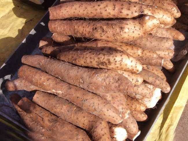 山藥的功效有哪些 調(diào)經(jīng)又養(yǎng)血