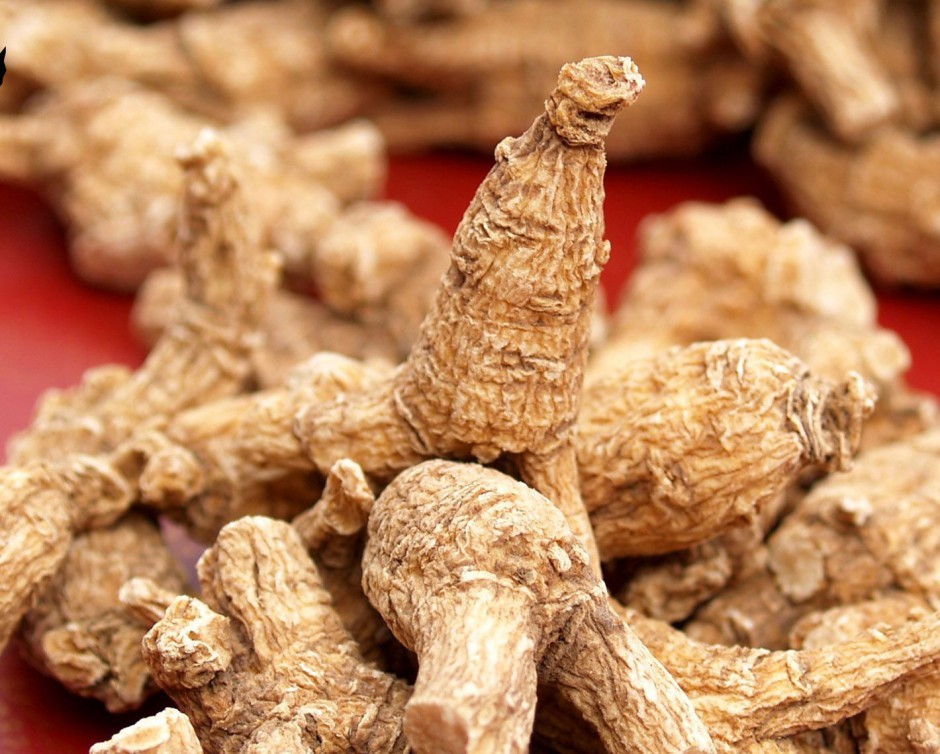 乳腺小葉增生的病因有哪些 西洋參5大功效好處