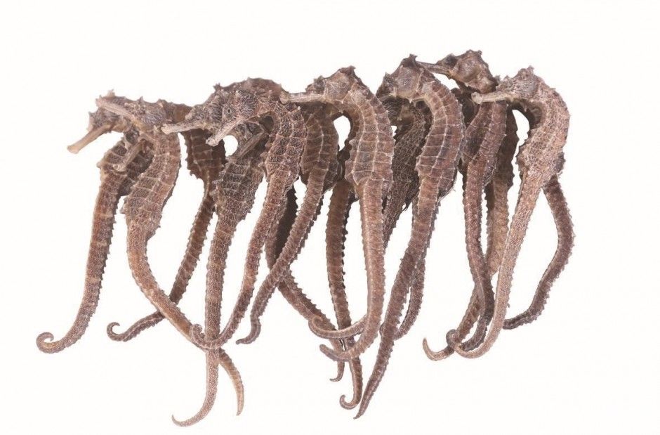 卵巢囊腫的早期癥狀 出現(xiàn)這些情況一定要引起重視